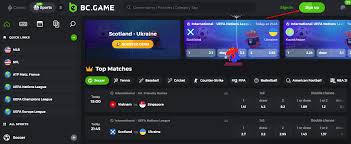 Comprehensive Guide to Support BC.Game USA 4